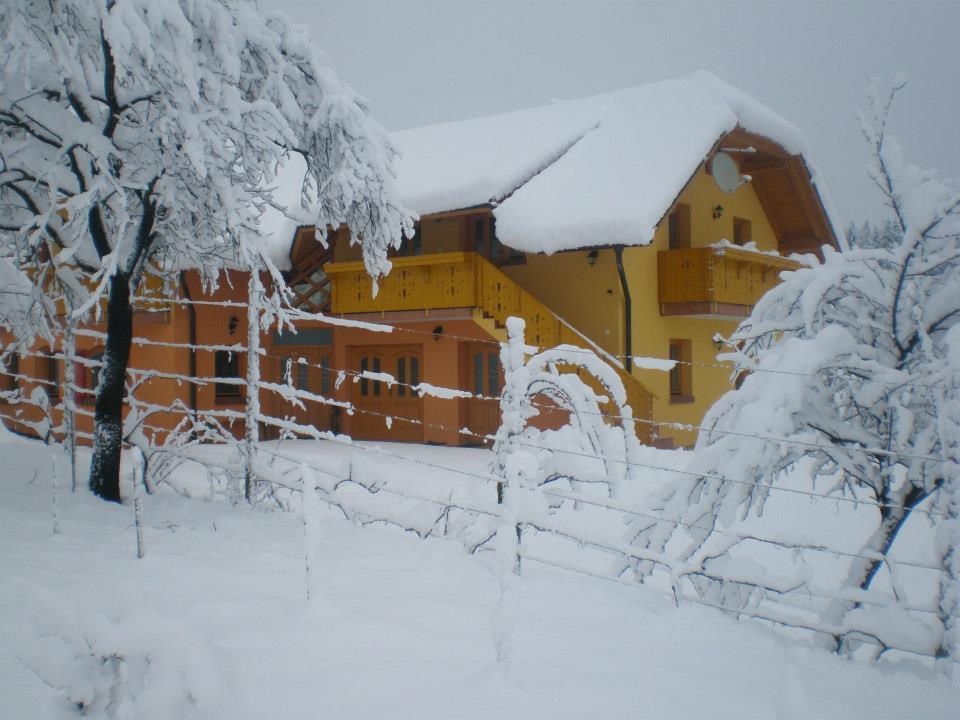 Apartment Beli Zajec Мозирє Екстер'єр фото